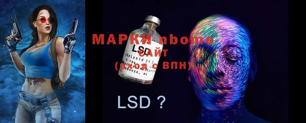 ПСИЛОЦИБИНОВЫЕ ГРИБЫ Белокуриха
