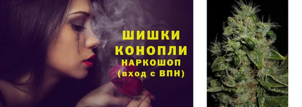 хмурый Пересвет