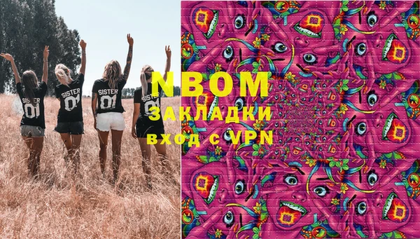 ПСИЛОЦИБИНОВЫЕ ГРИБЫ Белокуриха