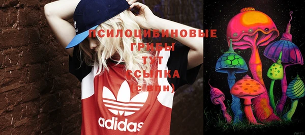 амф Белоозёрский
