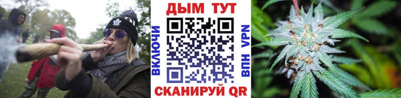 где найти наркотики  Светлогорск  МАРИХУАНА планчик 